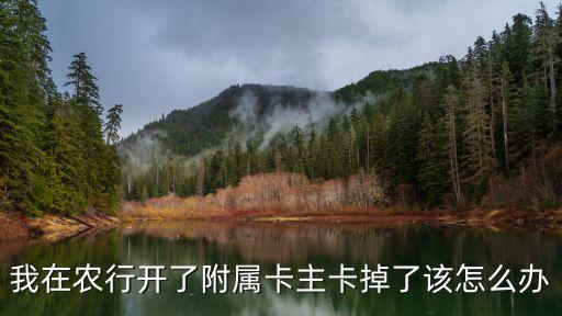 我在農(nóng)行開了附屬卡主卡掉了該怎么辦