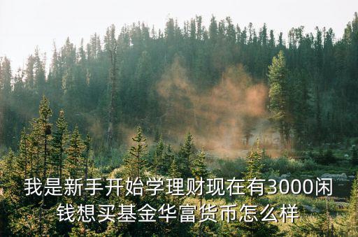我是新手開始學理財現在有3000閑錢想買基金華富貨幣怎么樣
