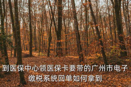 app回執(zhí)單怎么獲得，到醫(yī)保中心領(lǐng)醫(yī)?？ㄒ獛У膹V州市電子繳稅系統(tǒng)回單如何拿到