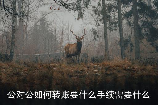 對(duì)公基本賬戶怎么轉(zhuǎn)賬嗎，對(duì)方公司對(duì)公賬戶可以給我司的基本賬戶轉(zhuǎn)賬嗎