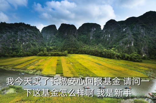 968010這個基金怎么樣，華富競爭力基金怎么樣