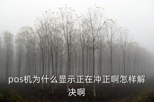 pos沖正怎么辦，pos機(jī)自動(dòng)沖正該怎么辦