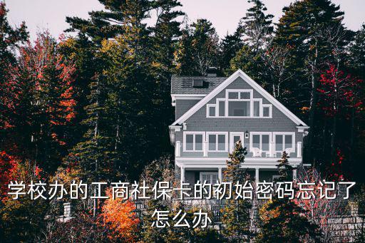 工商原始密碼忘記了怎么辦，工商銀行密碼忘了怎么找回