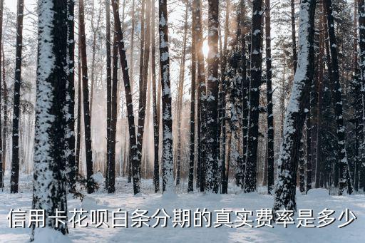 白條和信用卡手續(xù)費(fèi)怎么算的，信用卡花唄白條分期的真實(shí)費(fèi)率是多少