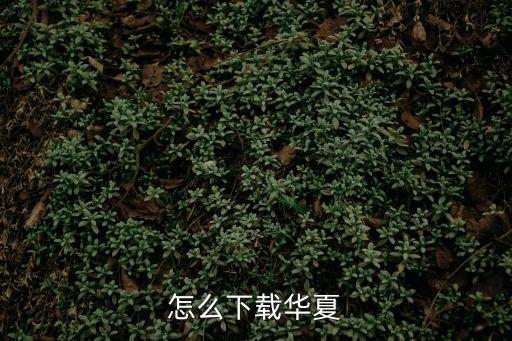 怎么下載華夏