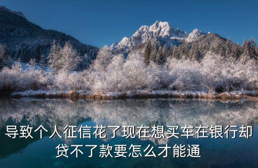 導(dǎo)致個人征信花了現(xiàn)在想買車在銀行卻貸不了款要怎么才能通