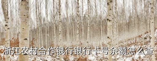 浙江農村合作銀行銀行卡號余額怎么查