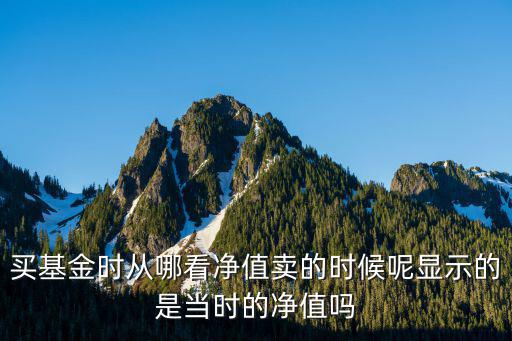 買基金時從哪看凈值賣的時候呢顯示的是當時的凈值嗎