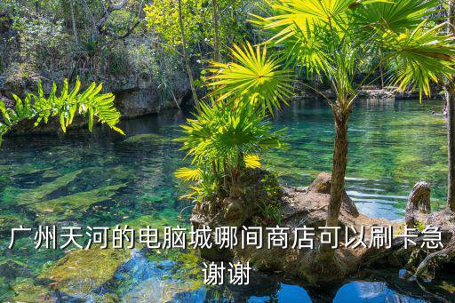 廣州天河的電腦城哪間商店可以刷卡急謝謝