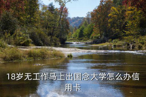 18歲無(wú)工作馬上出國(guó)念大學(xué)怎么辦信用卡