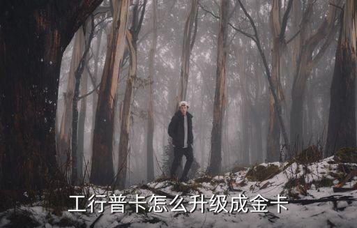 工商普卡怎么換金卡，信用卡普卡如何換成金卡