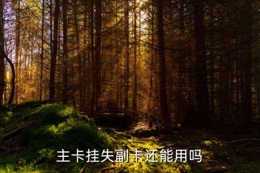 主卡掛失副卡還能用嗎
