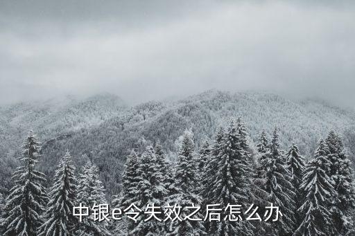 換新的中銀e令過期了怎么辦，中銀e令失效之后怎么辦