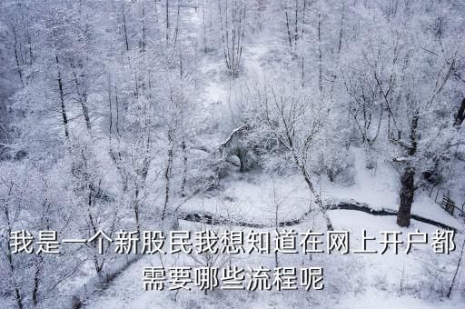 股票網(wǎng)上開戶怎么辦理流程，如何在網(wǎng)上股票開戶