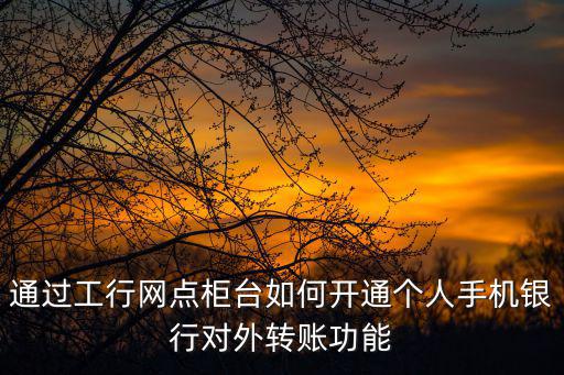 通過工行網(wǎng)點柜臺如何開通個人手機銀行對外轉賬功能