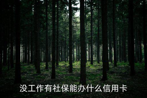 沒工作有社保能辦什么信用卡
