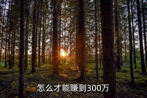 怎么才能賺到300萬