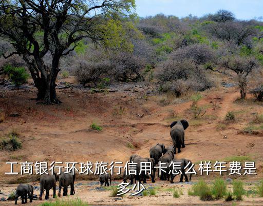 工商銀行環(huán)球旅行信用卡怎么樣年費(fèi)是多少