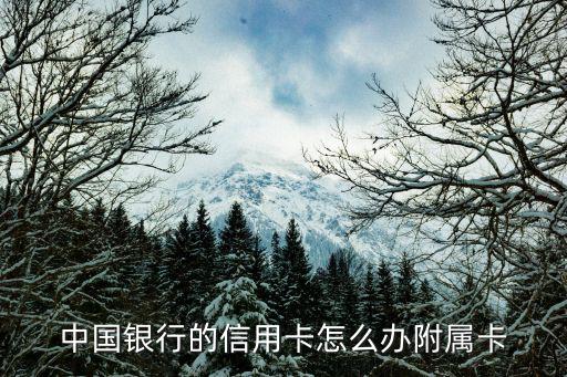 中國銀行的信用卡怎么辦附屬卡