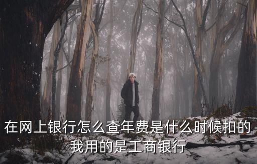 在網(wǎng)上銀行怎么查年費(fèi)是什么時(shí)候扣的我用的是工商銀行