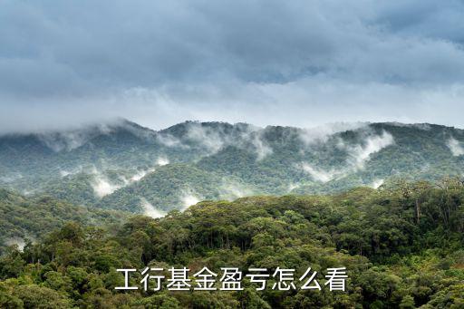 工行基金盈虧怎么看