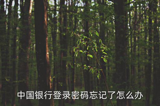 中國銀行登錄密碼忘記了怎么辦