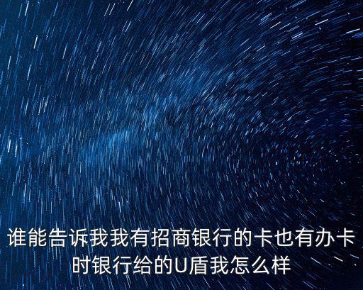 誰能告訴我我有招商銀行的卡也有辦卡時銀行給的U盾我怎么樣