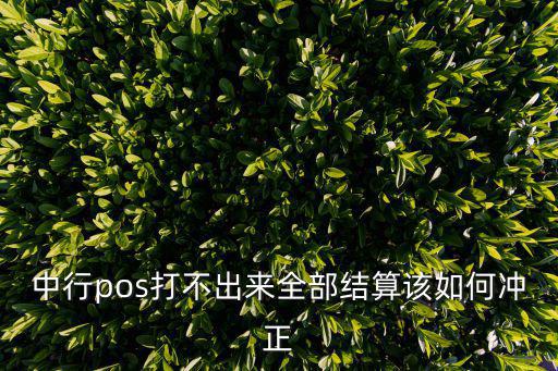 pos怎么沖正啊，pos里的沖正麻煩用通俗易懂的話解釋一下不要百度復(fù)制那種  搜