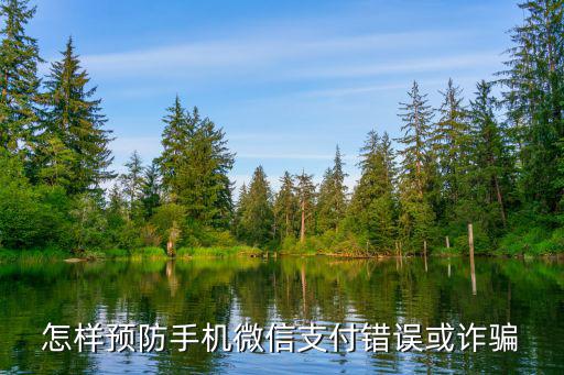 怎樣預(yù)防手機微信支付錯誤或詐騙
