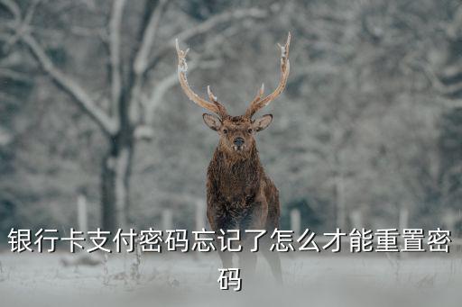 銀行卡支付密碼忘記了怎么才能重置密碼