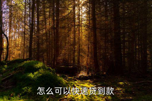 怎么快速銀行貸款，如何能快速的貸款