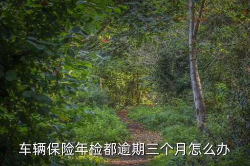 車輛保險年檢都逾期三個月怎么辦