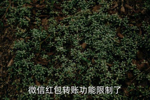 微信轉(zhuǎn)賬不分功能受限怎么辦，微信銀行轉(zhuǎn)賬被限制怎么辦