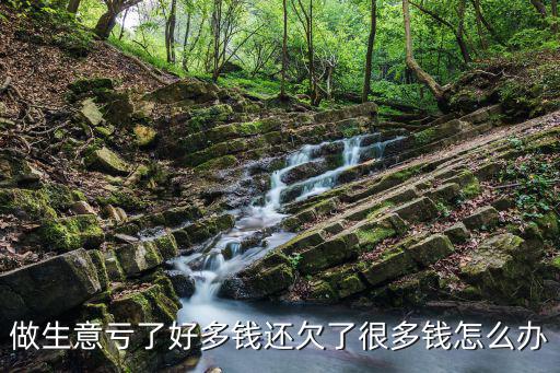 做生意虧了好多錢還欠了很多錢怎么辦
