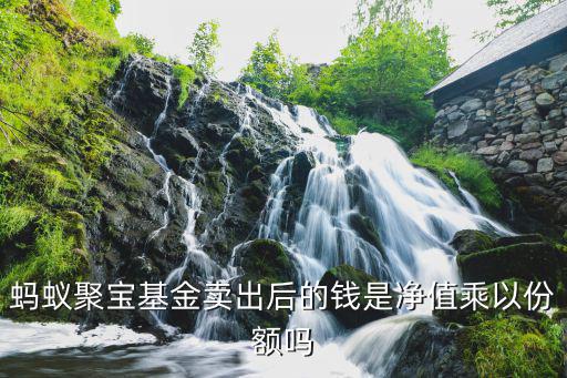 512560 賣出凈值怎么看，如何事先知道基金賣出凈值