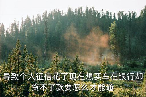 征信太花怎么破，你好 我近期頻繁申請(qǐng)信用卡導(dǎo)致征信有點(diǎn)花該怎么辦