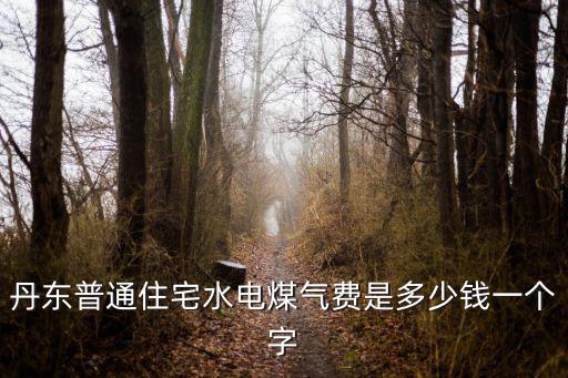 丹東普通住宅水電煤氣費是多少錢一個字