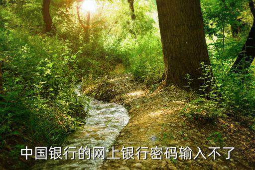 中國銀行的網(wǎng)上銀行密碼輸入不了