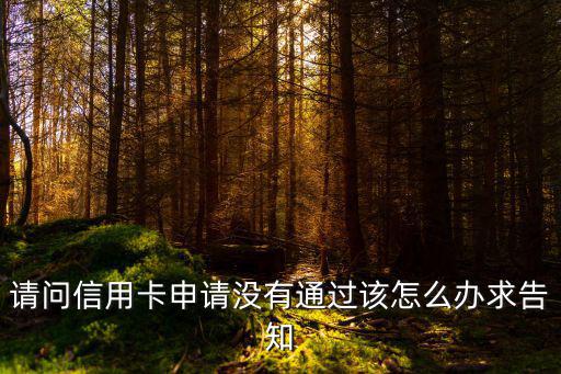 qq信用卡沒通過怎么辦理，請問信用卡申請沒有通過該怎么辦求告知