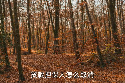 貸款擔(dān)保人怎么取消