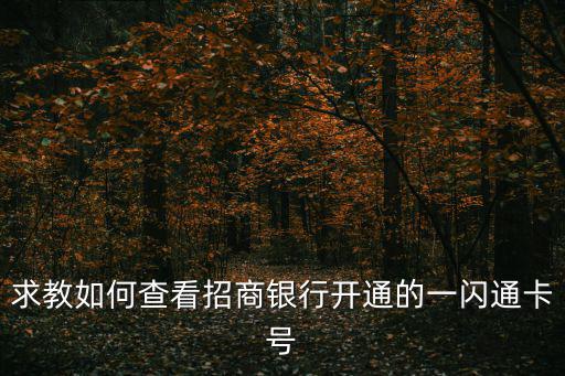 求教如何查看招商銀行開通的一閃通卡號(hào)