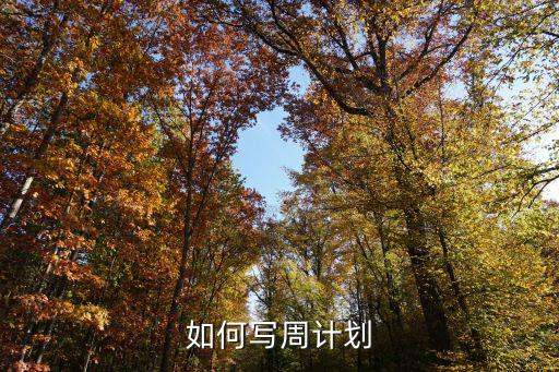 如何寫周計劃