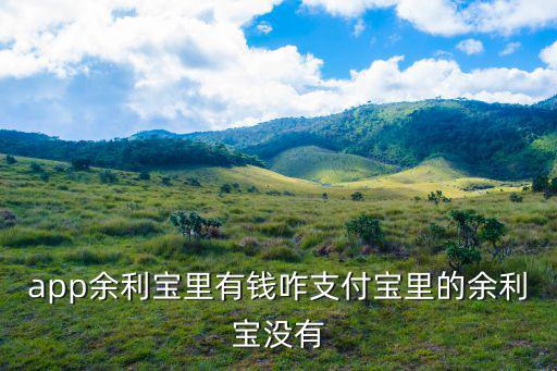 app余利寶里有錢咋支付寶里的余利寶沒有