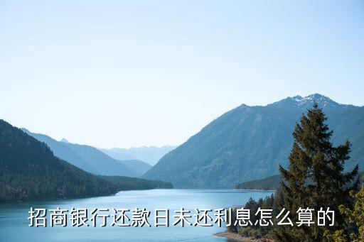 招行一天利息怎么算，招商銀行信用卡的利息怎么算的