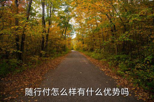 隨行付怎么樣有什么優(yōu)勢(shì)嗎