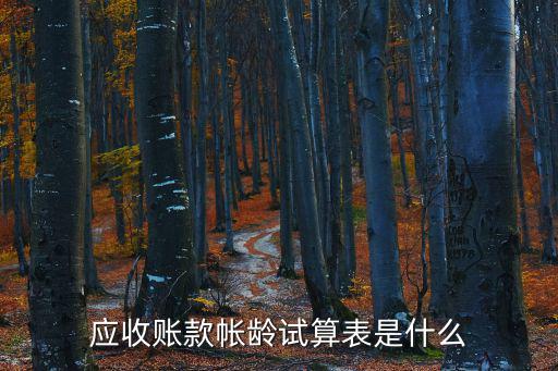 應(yīng)收賬款帳齡試算表是什么