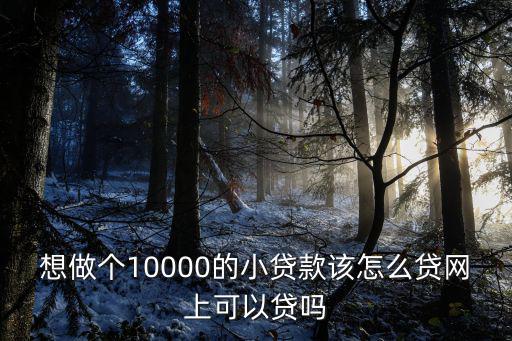 想做個(gè)10000的小貸款該怎么貸網(wǎng)上可以貸嗎