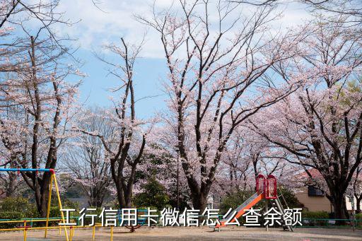 怎么微信查工銀信用卡額度是多少，工行信用卡微信怎么查余額