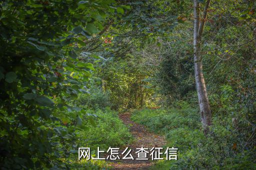 網(wǎng)上怎么查征信