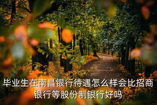 畢業(yè)生在南昌銀行待遇怎么樣會(huì)比招商銀行等股份制銀行好嗎
